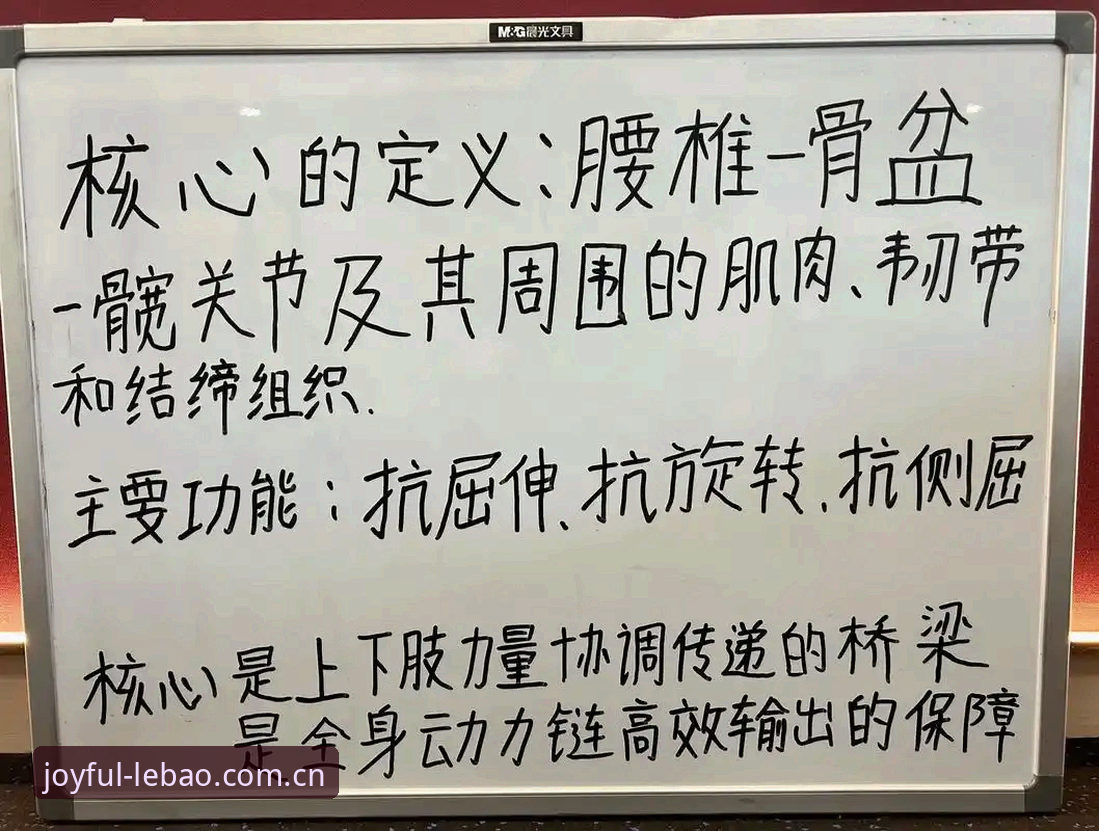 体育迷必备：乐宝体育平台使用心得与实战经验分享